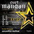 Струны для акустической гитары Curt Mangan 80/20 Bronze 11-52 12 String Medium 29002