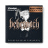 Dunlop BEHN1156 Behemoth 11-56 струны для электрогитары