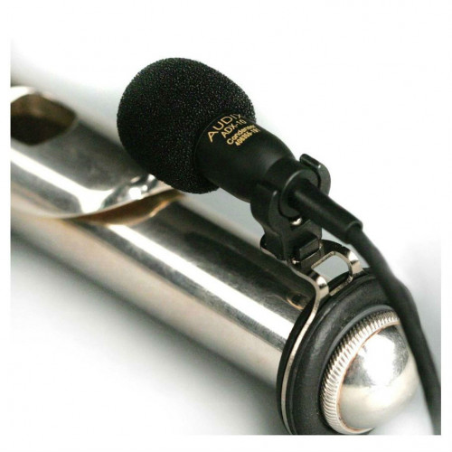 Audix ADX10FL микрофон для флейты с держателем