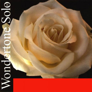Pirastro Wondertone Solo 410021 струны для скрипки 4/4 (комплект), среднее натяжение