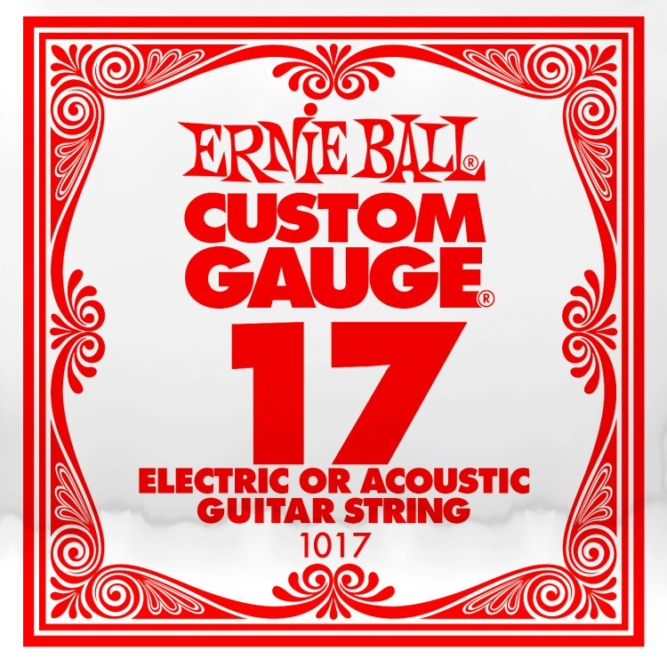 ​Одиночная струна для электро и акустической гитары Ernie Ball 1017, 17