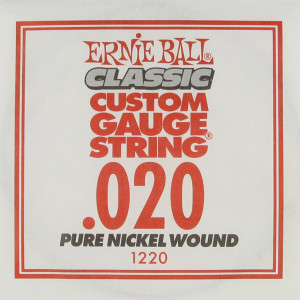 Ernie Ball 1220 струна для электро и акустических гитар, калибр .020