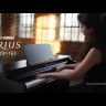 Yamaha YDP-163R Arius цифровое пианино, 88 клавиш, клавиатура молоточковая, GH3, 192 полифония Видео