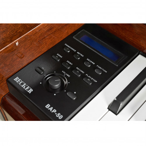 Becker BAP-50N цифровое пианино, цвет натуральный, механика KM-88, материал клавиш-ABS