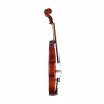 Скрипка Prima P-100 3/4 в комплекте футляр, смычок, канифоль