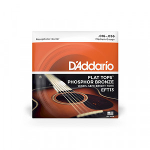 Комплект струн для резонаторной гитары 16 - 56 D'Addario EFT13