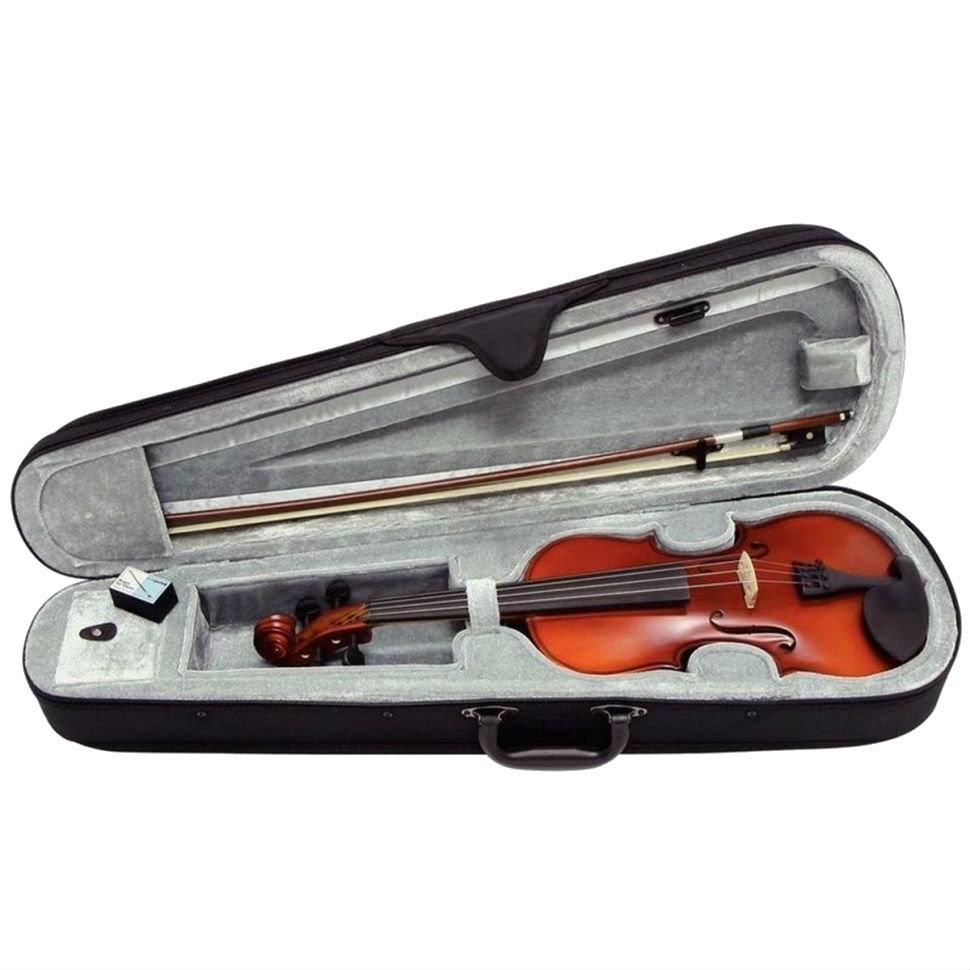 GewaPure Violin Outfit EW 4/4 скрипка в комплекте футляр, смычок, канифоль, подбородник